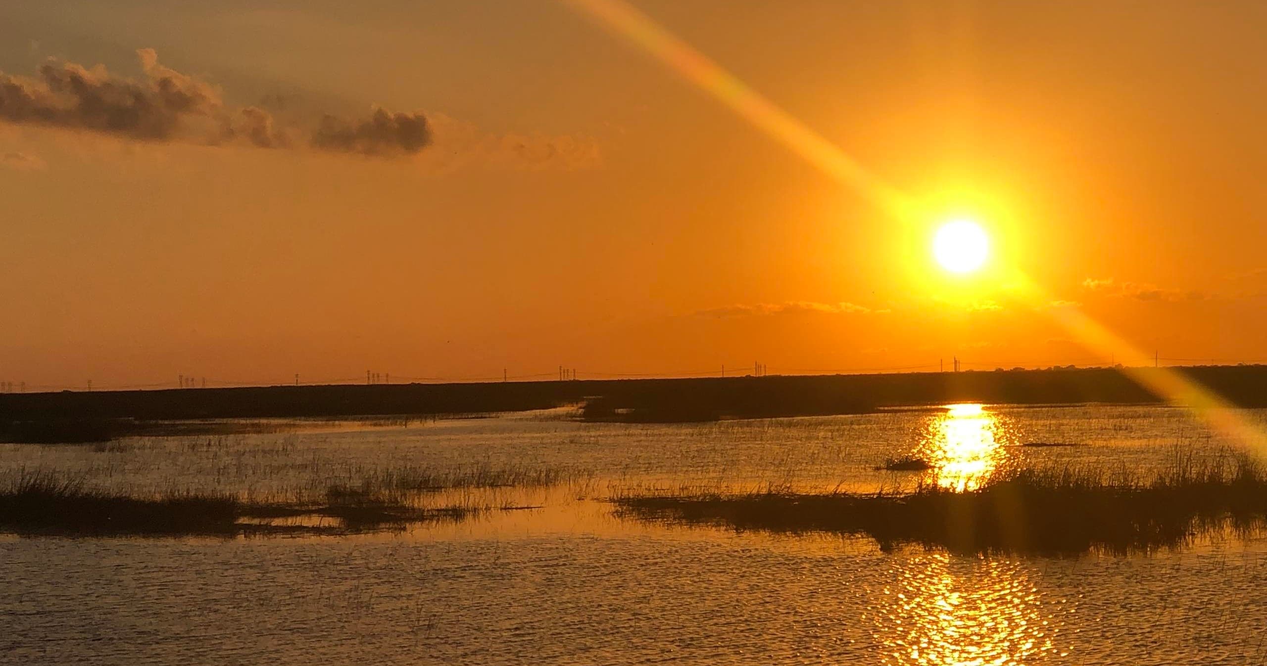 Sunset Airboat Tour