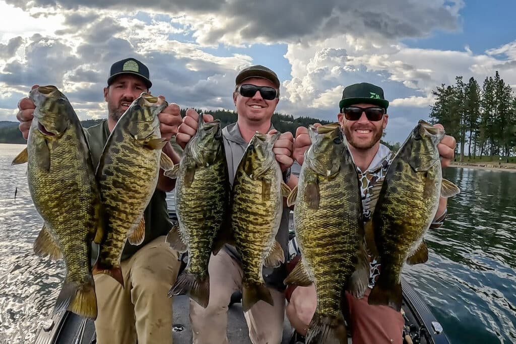 Bass/Pike Full Day Fishing