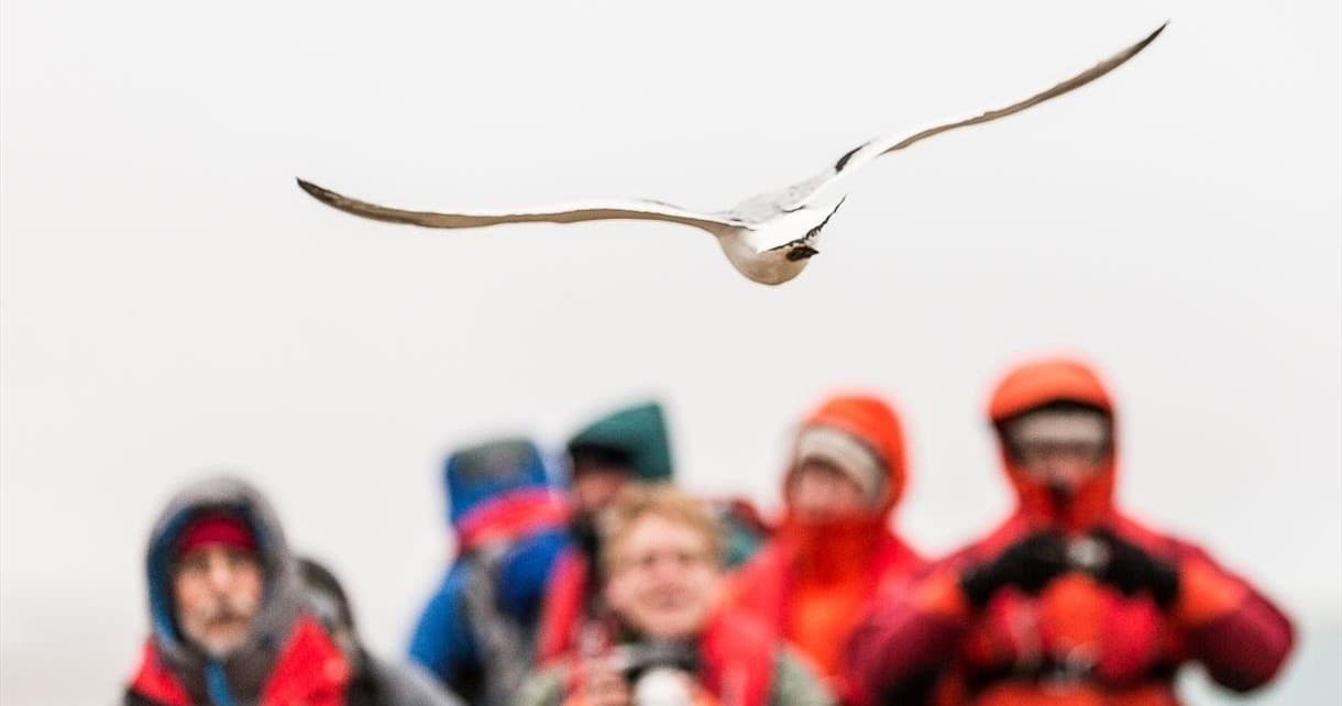 Guided phototour