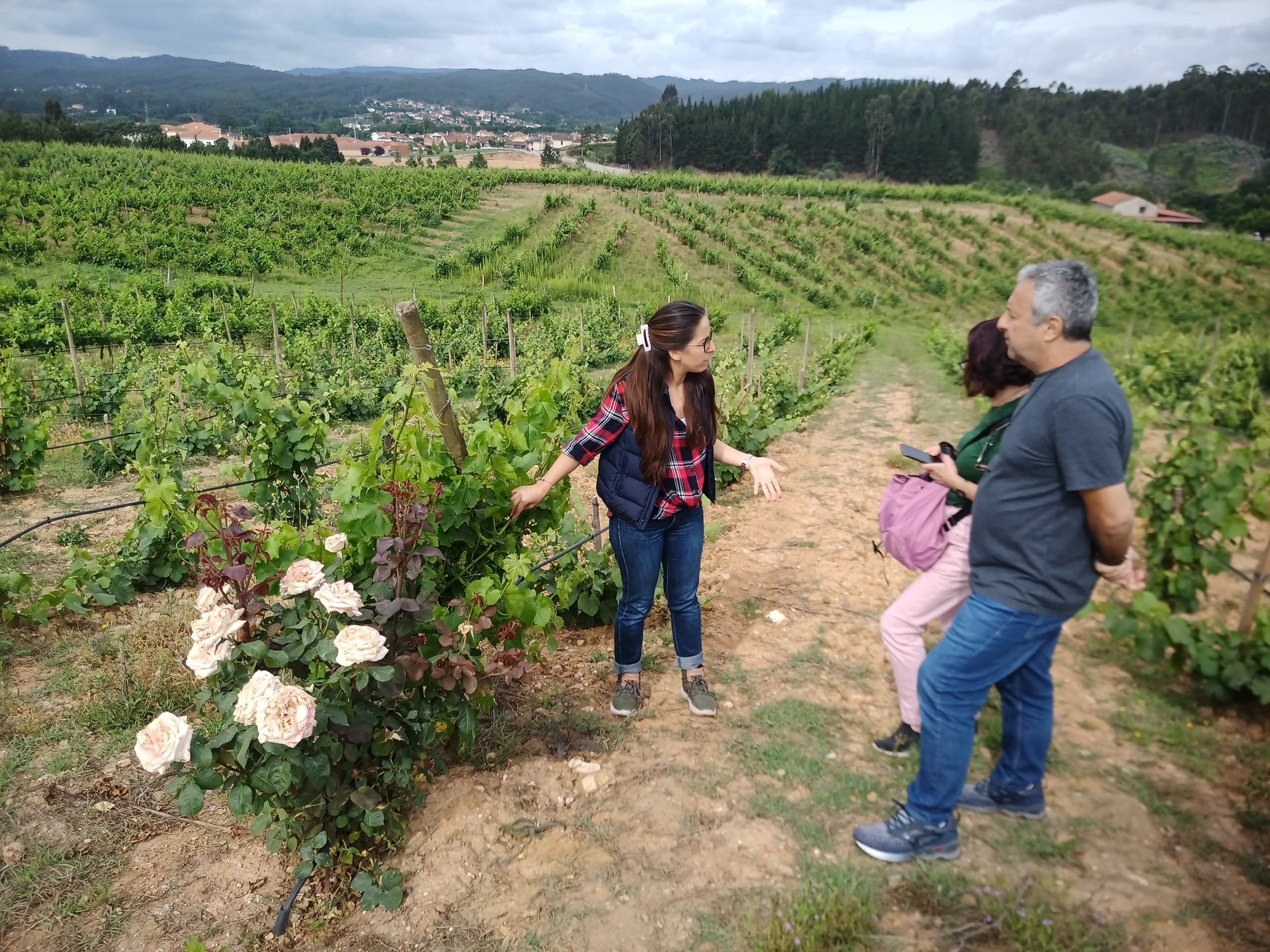 Dão Wine Route, full-day from Coimbra
