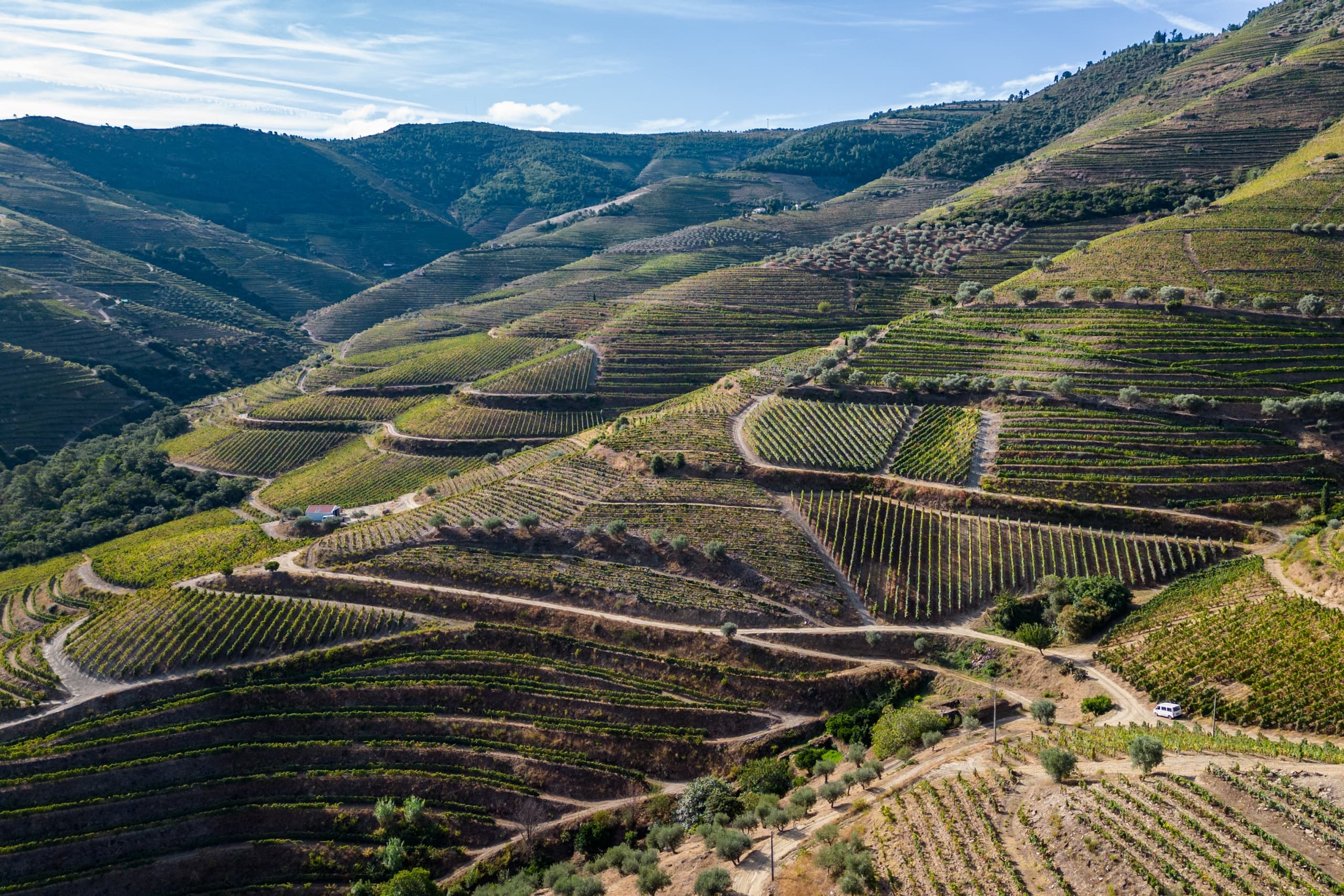 Passeio Privado ao Vale do Douro: Visite 3 Quintas com Provas de Vinho e Almoço