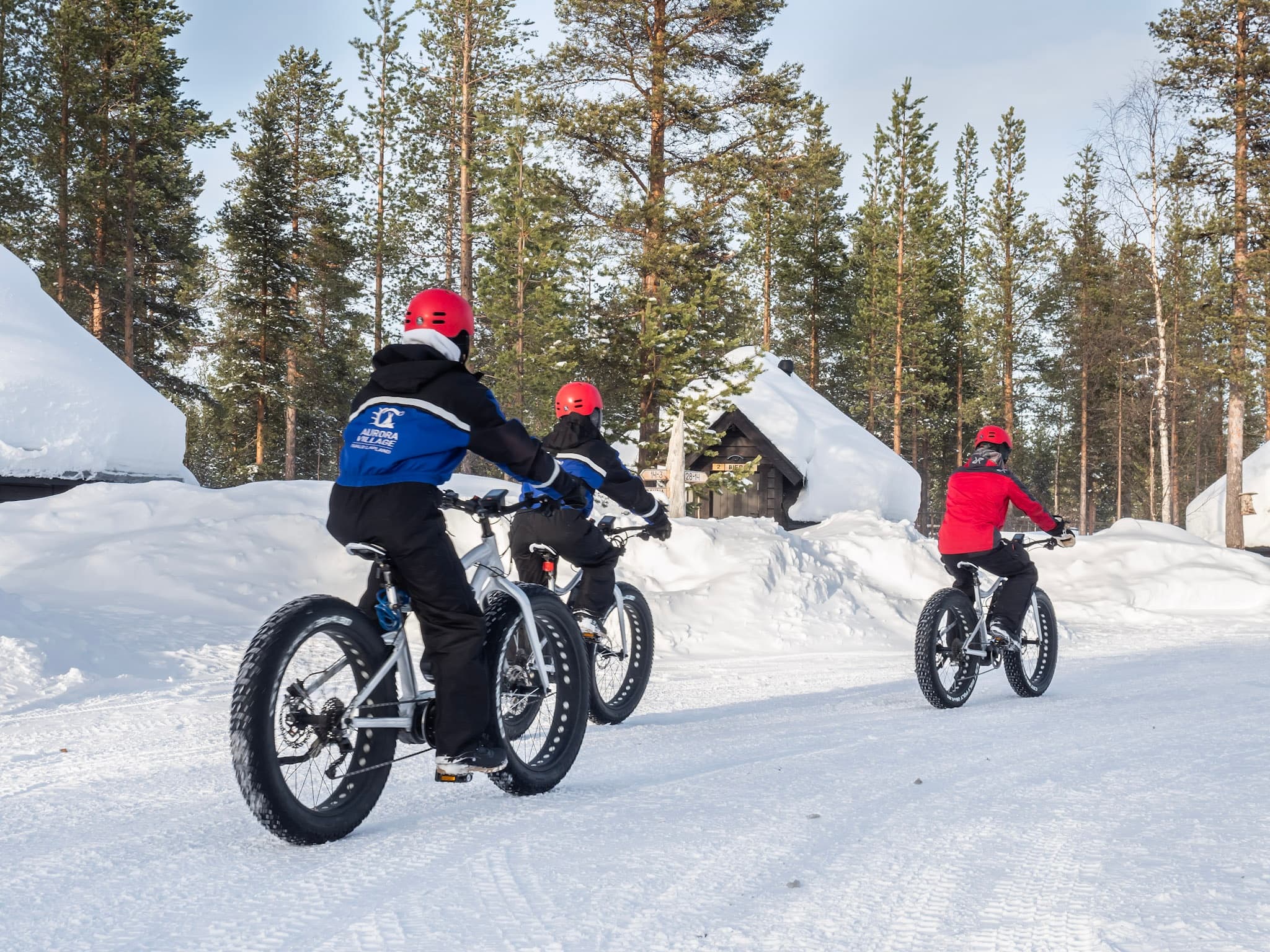 Fatbike Forest Trail
