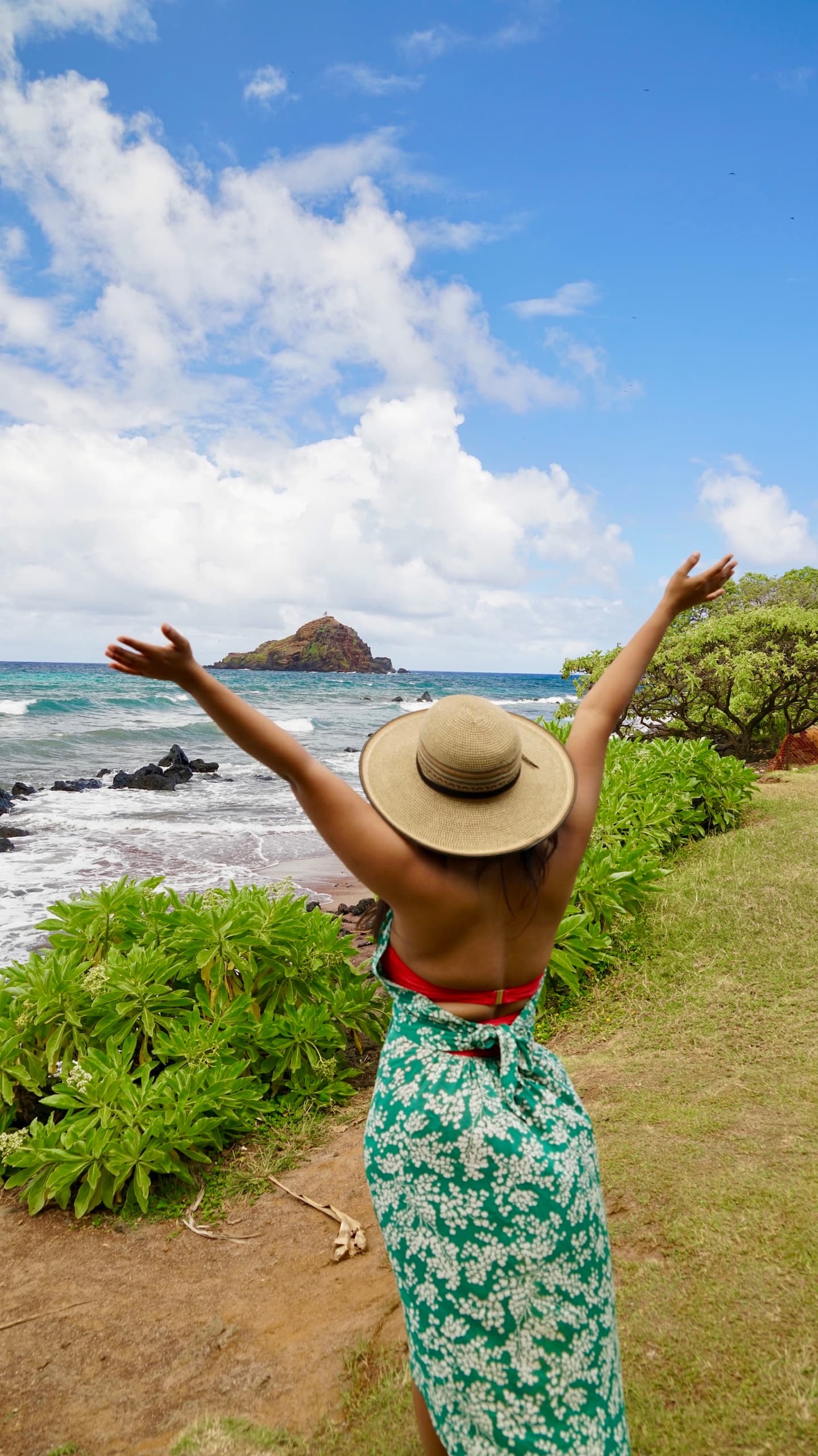 VIP Private Road to Hana Tour with Pick Up