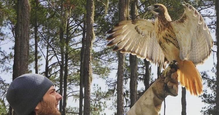 2 Day International Falconry Academy