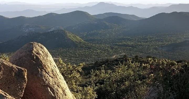 Sierra Prieta & Copper Canyon