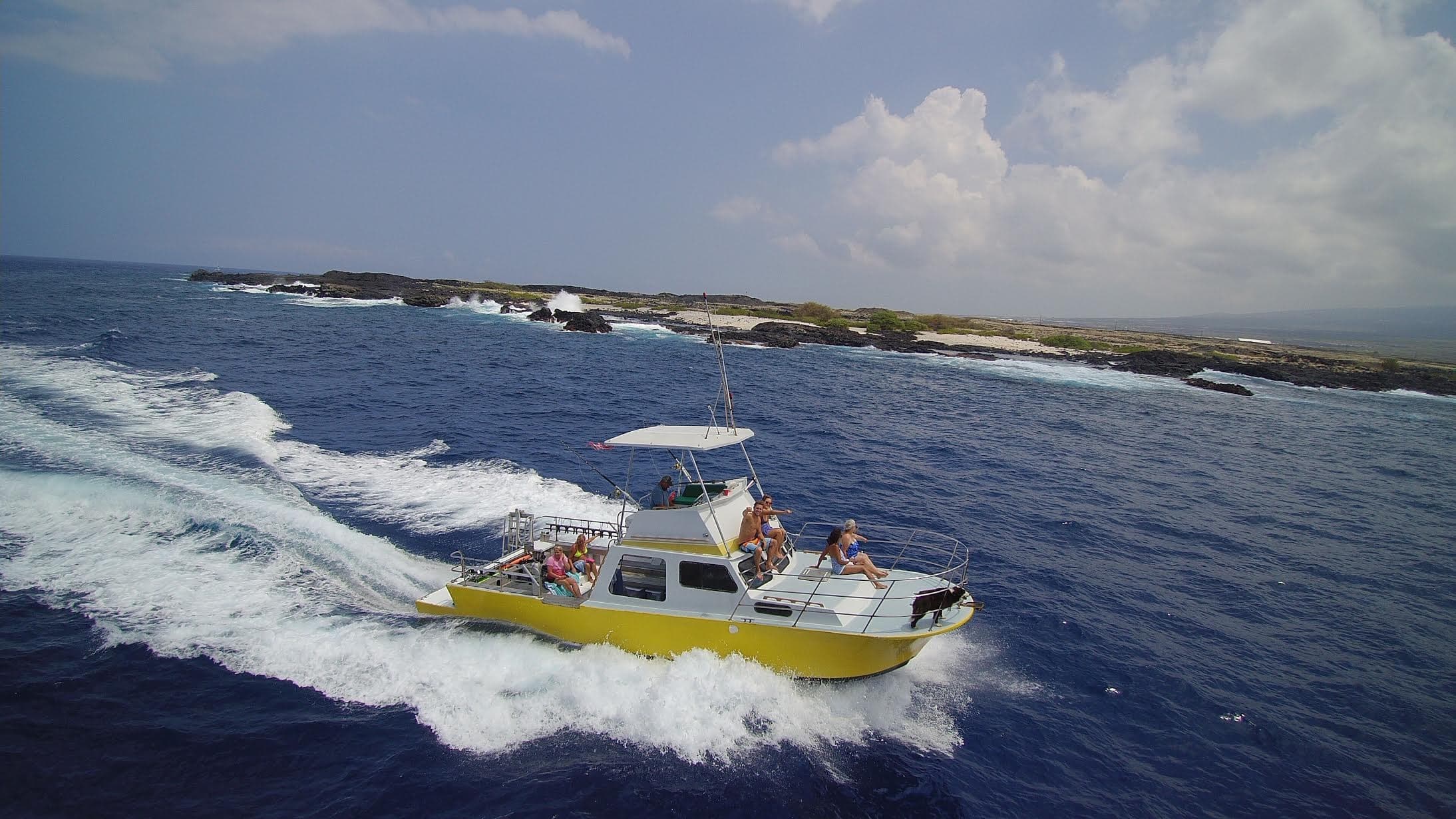 Aquatic Safari
