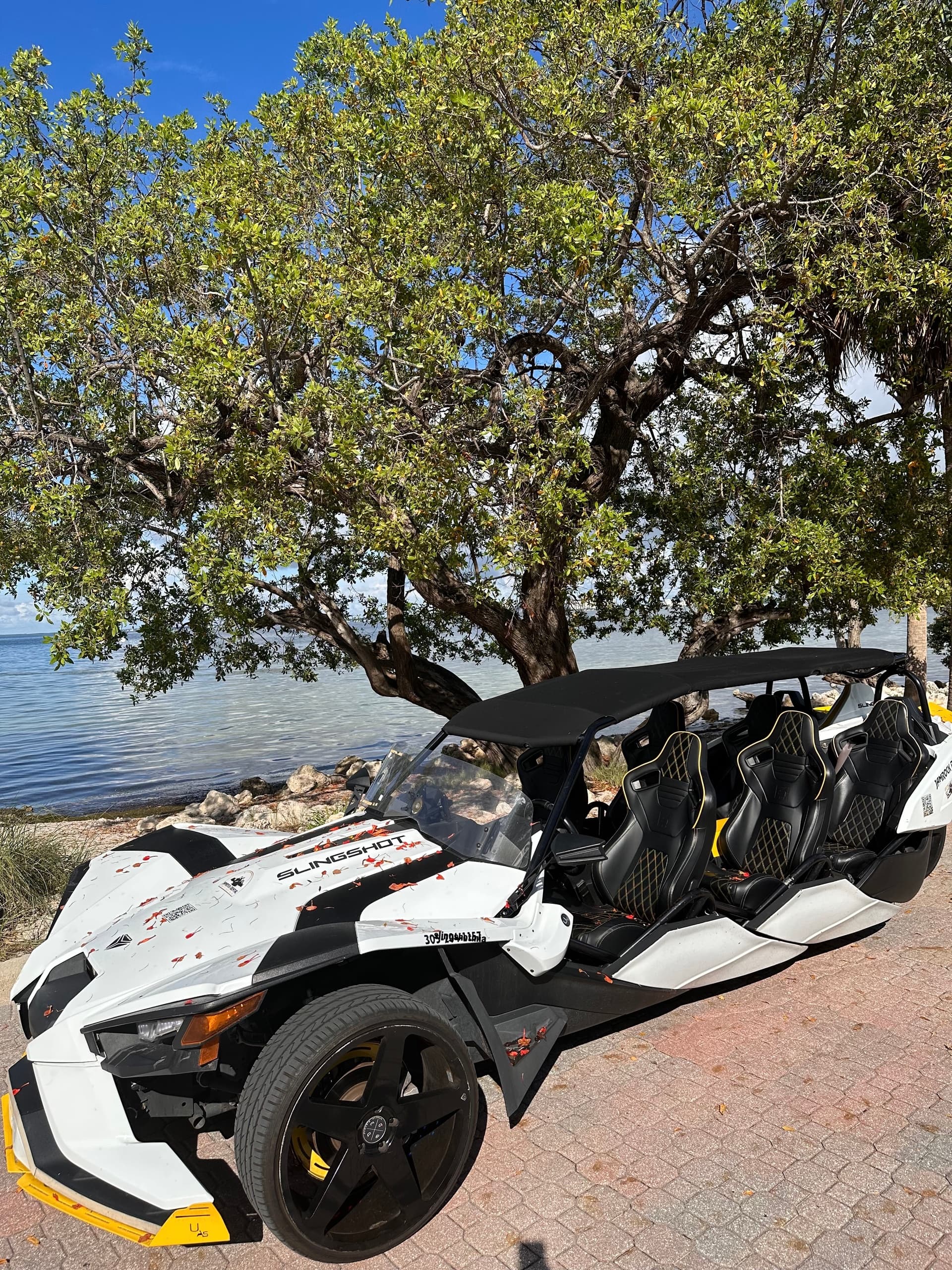 6 Seaters slingshot polaris