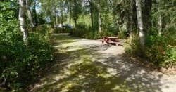Camp Site 40