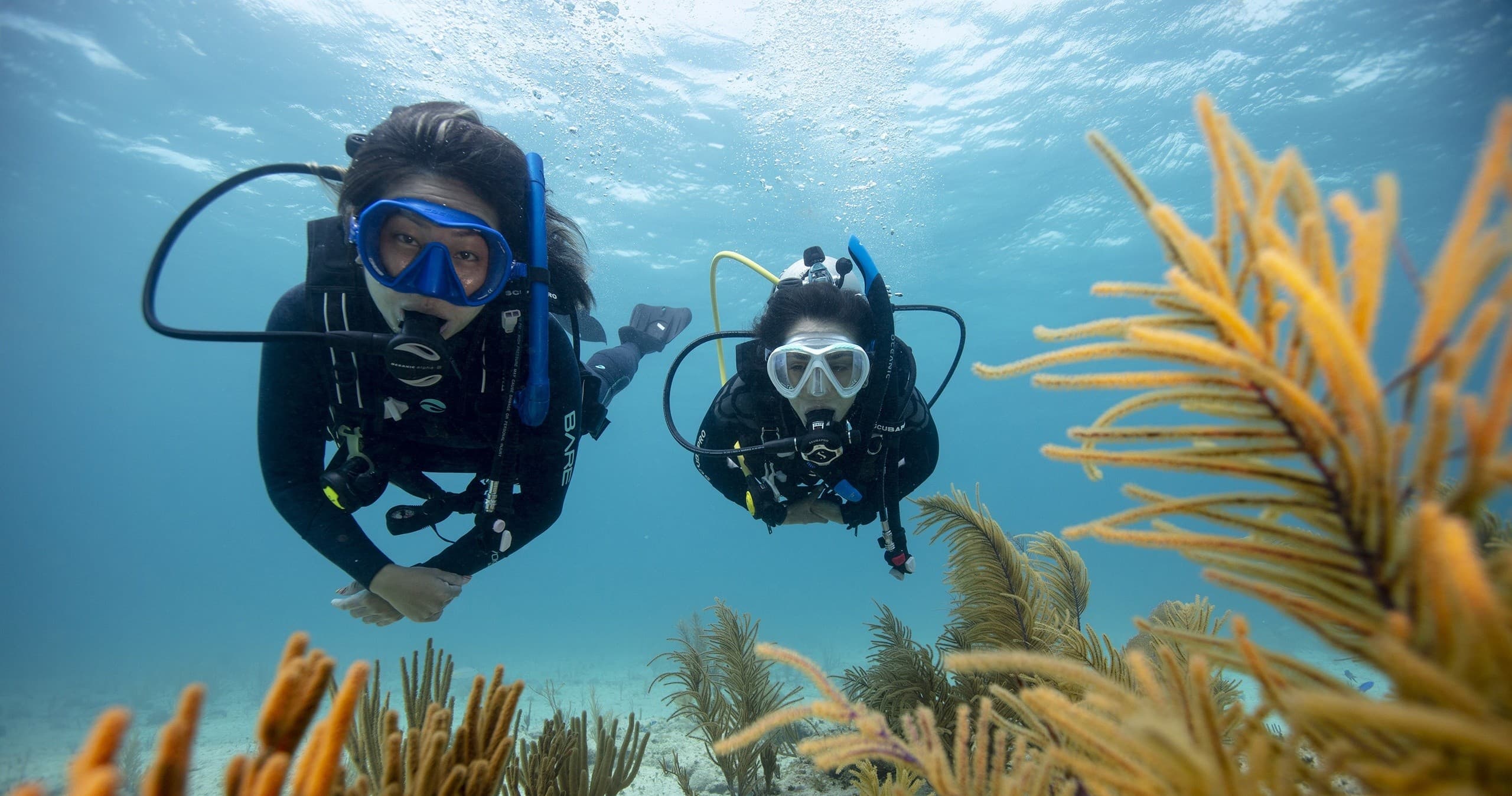 Discover Scuba Diving Adventure-Unleash your Inner Explorer