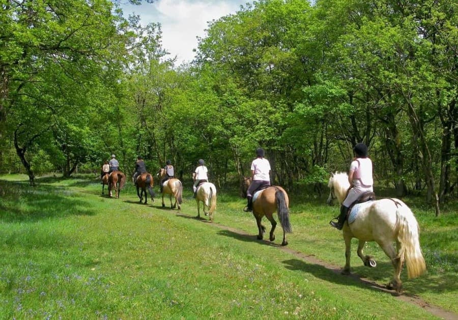 Horseback Riding tour