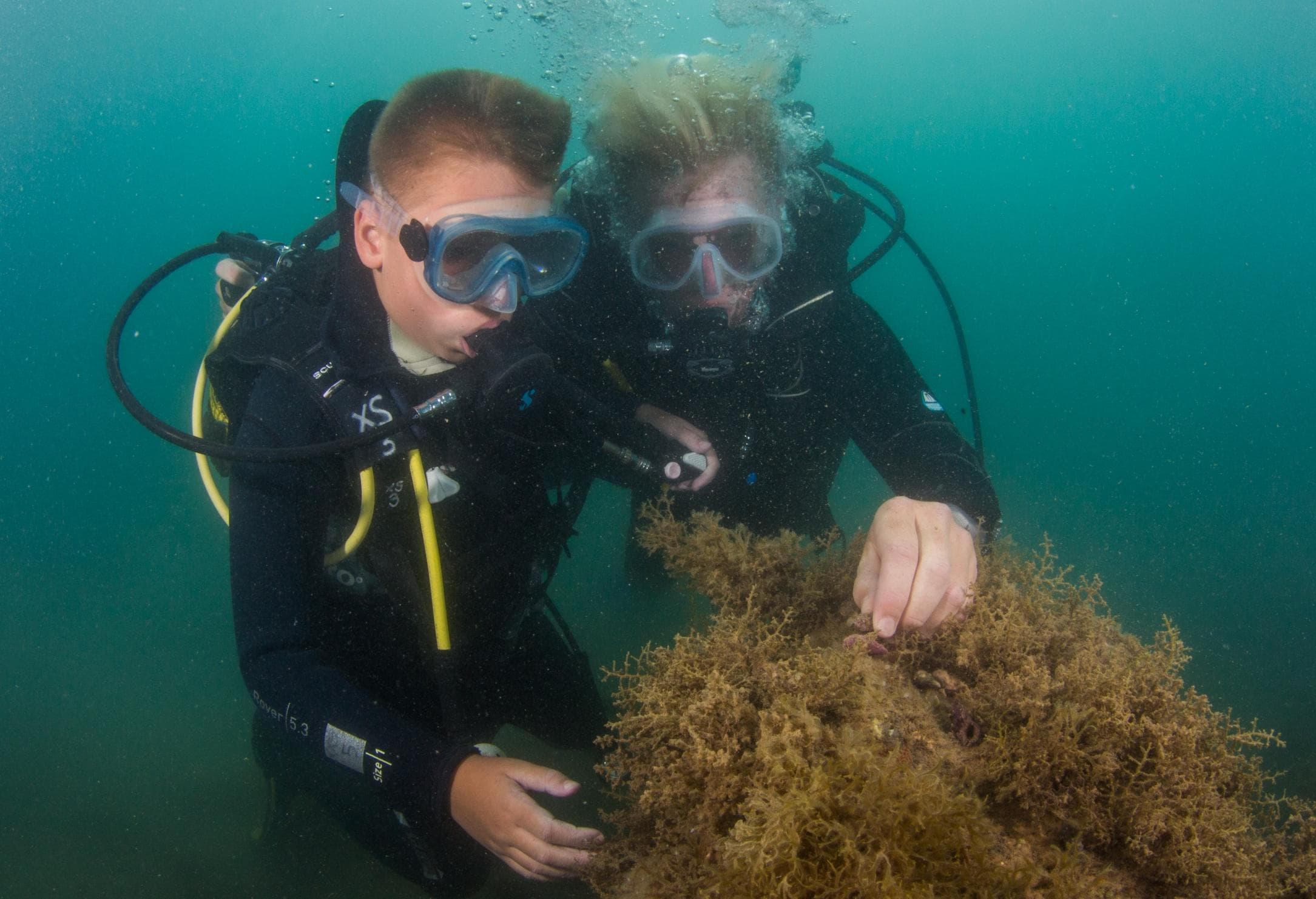 Discover Diving from the shore