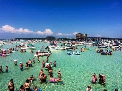Crab Island Charter - 4 Hour