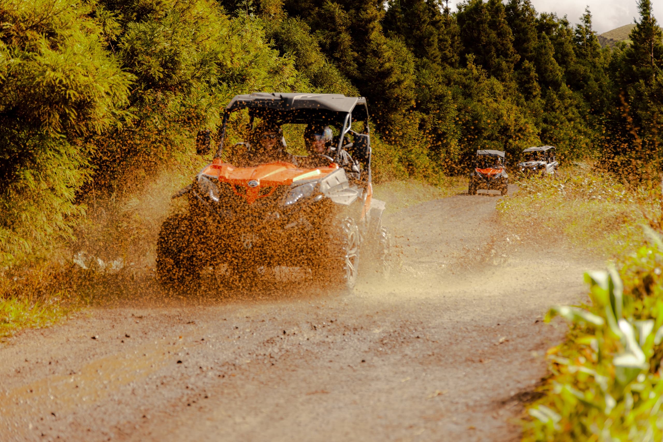 Half-day Buggy Tour • Sete Cidades