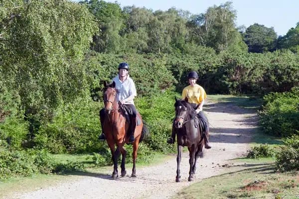 Horse Riding in Santa Pola