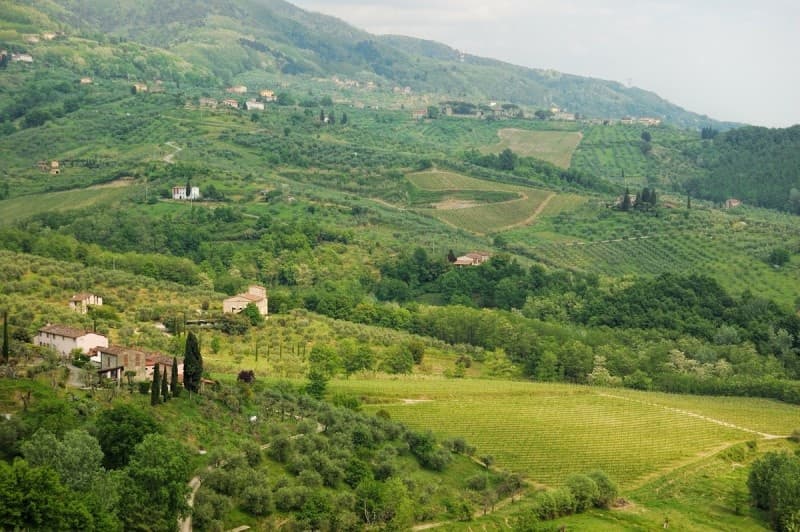 Self-guided bike tour on Lucca Wine Roads to Montecarlo