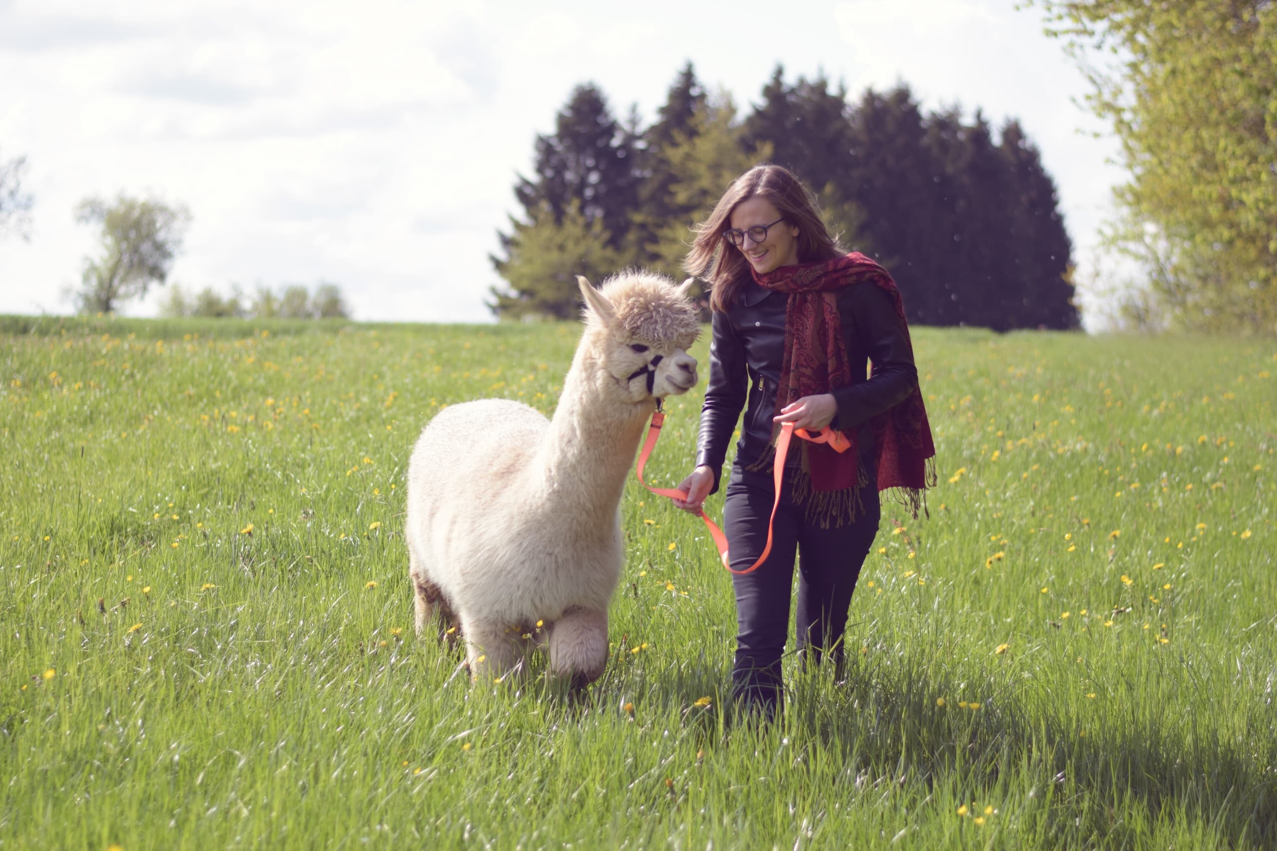 Alpaka Wanderung  •  ab 6 Jahren