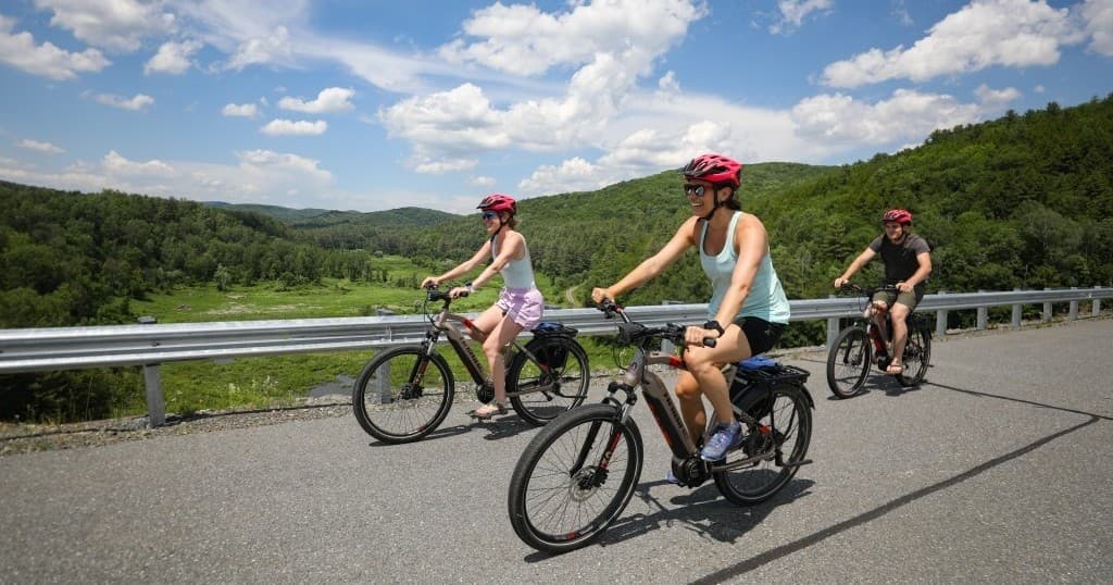 Half Day Rental (1-7 Riders)