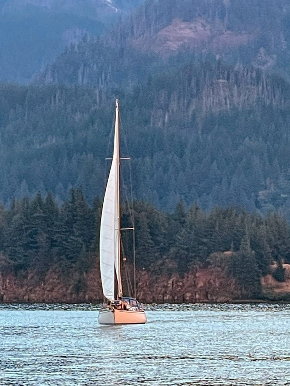 Two Hour Afternoon Sailing Adventure