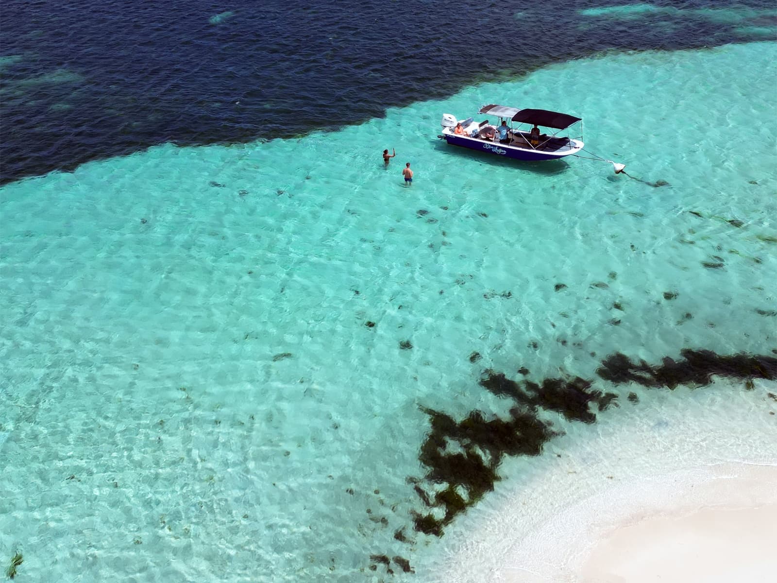 Vivez 1/2 journée magique 🌿 Mangrove, Coraux, Ilets et apéro les pieds dans l’eau 🍹