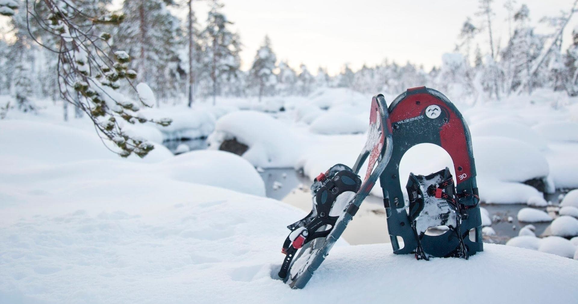 [T2] Snowshoeing in the Forest (2h)