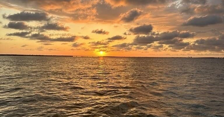 Sightseeing/Sunset Cruises