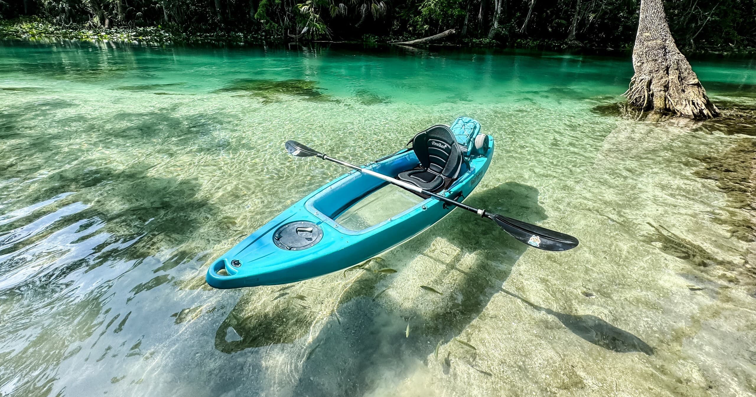 Self-Guided Glass Bottom Kayak Rental
