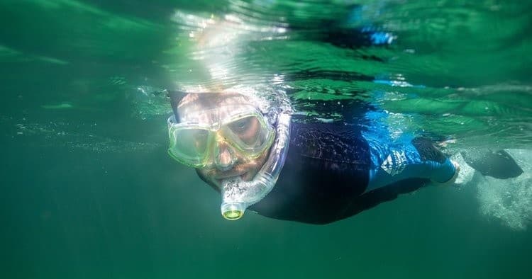 Open Group Snorkelling Session