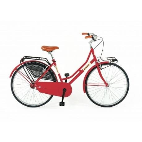 Basic bike