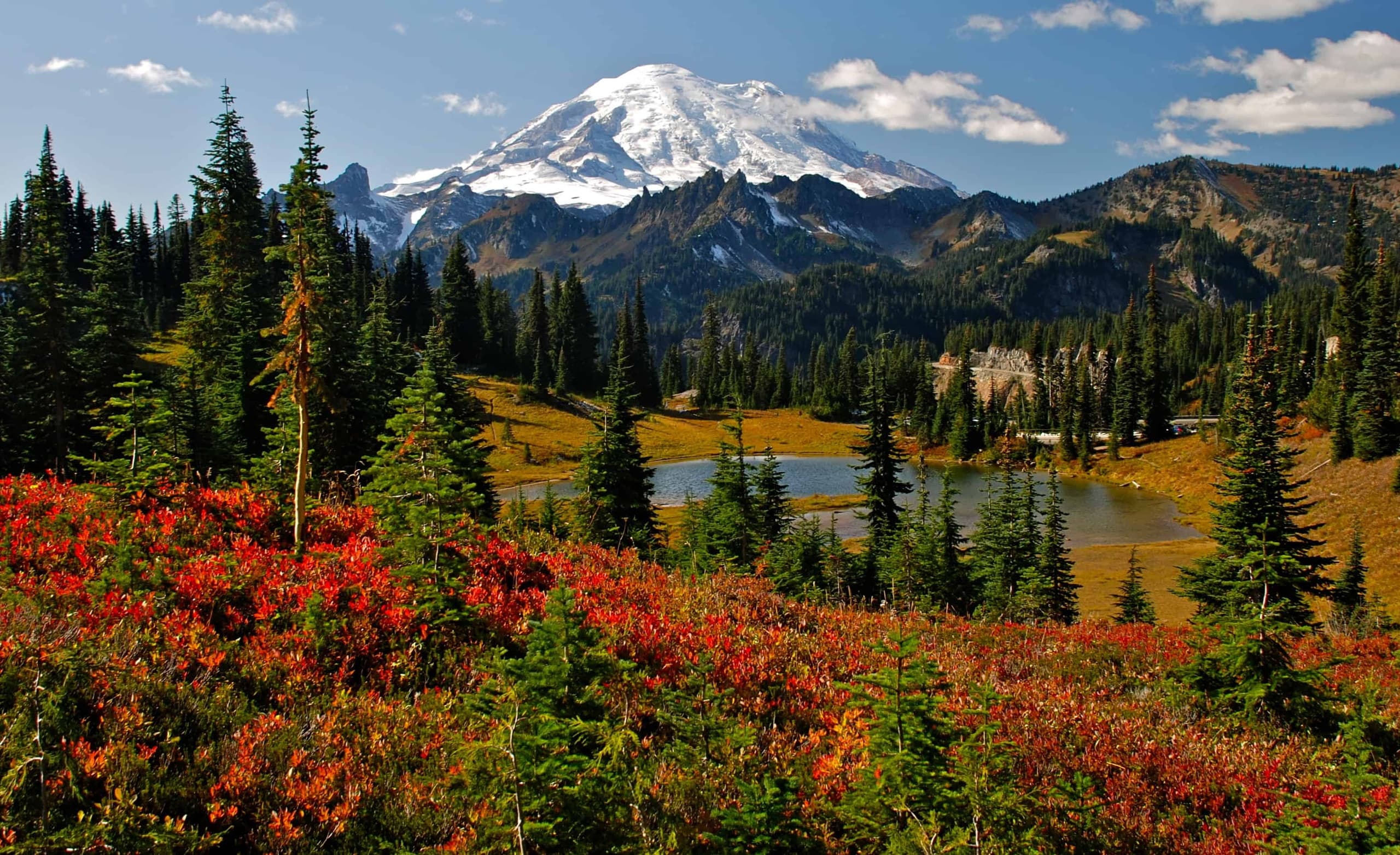 Private SUV Mt. Rainier Tour