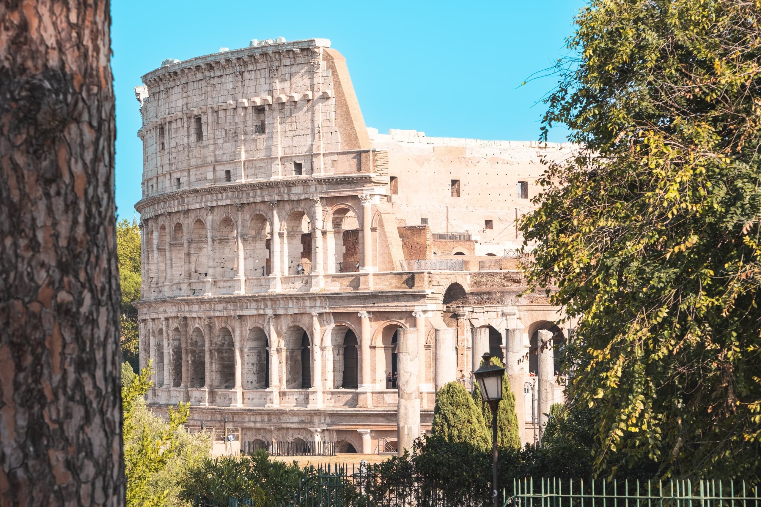 Colosseum, Palatine Hill & Roman Forum Small Group Tour