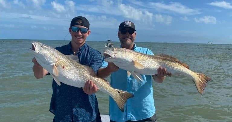 Private Half-Day Bay Fishing