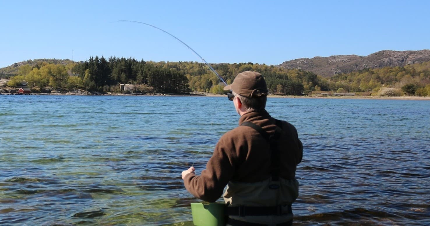 Sea Trout Fishing Experience