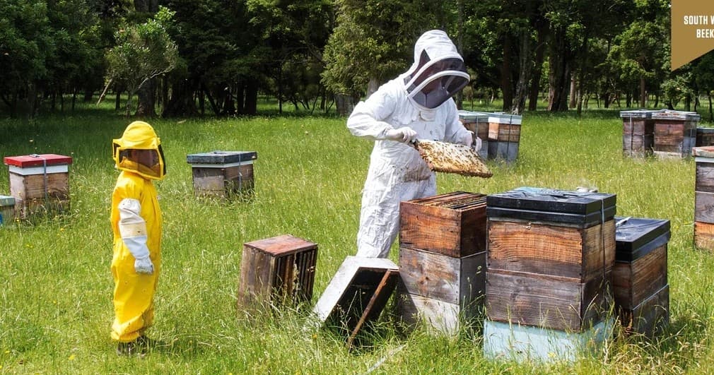 Beekeeper Experience