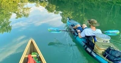 The Day Trip