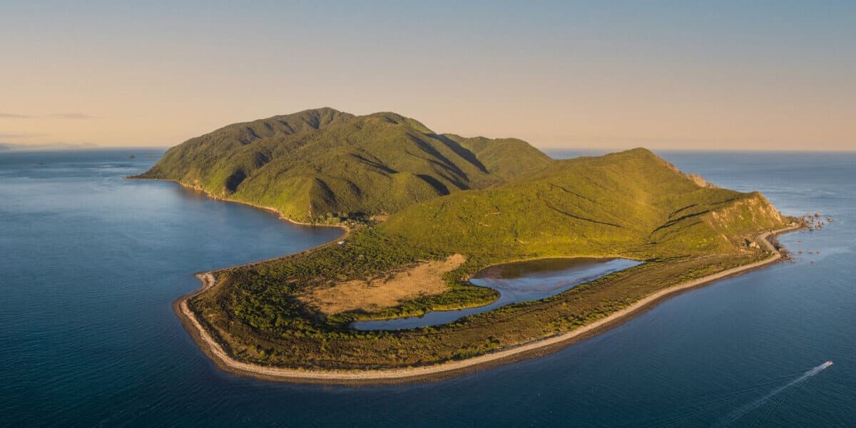 Kapiti Nature Tour (Transfer)