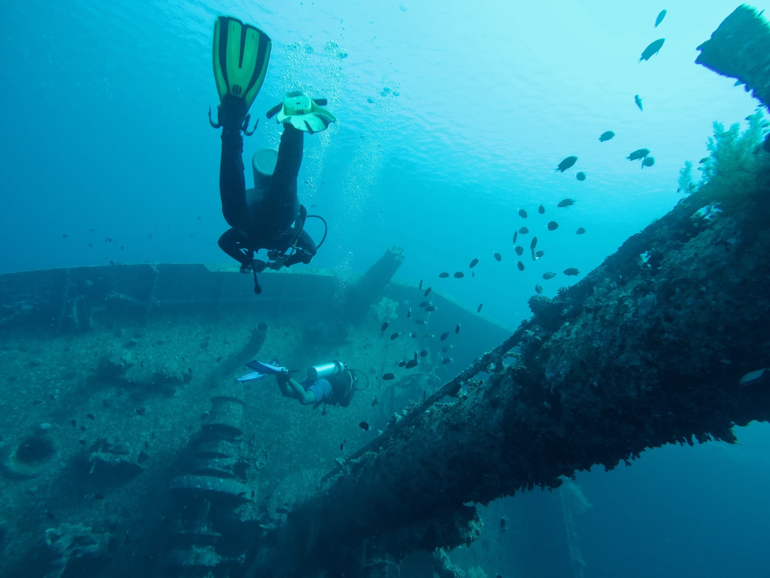 Two Dive - Midshore
