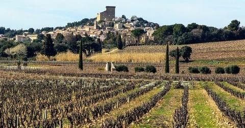 Châteauneuf du Pape intensive vineyard & fine wine experience, the best of the Rhône valley wines