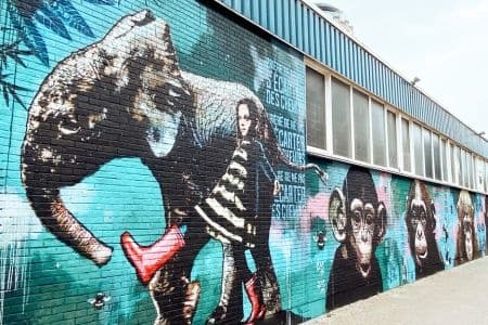 Street Art Tour - Private Dutch