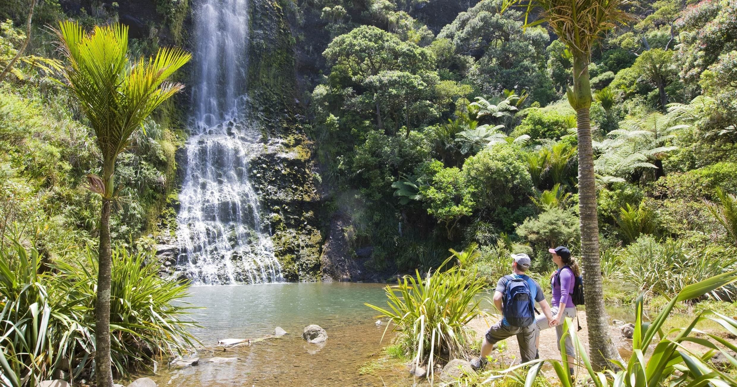 Auckland City & West Coast Luxury Tour