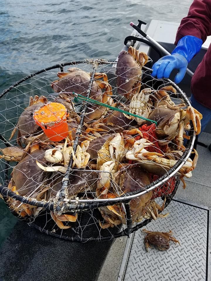 Dungeness Ocean Crabbing & Scenic Tour