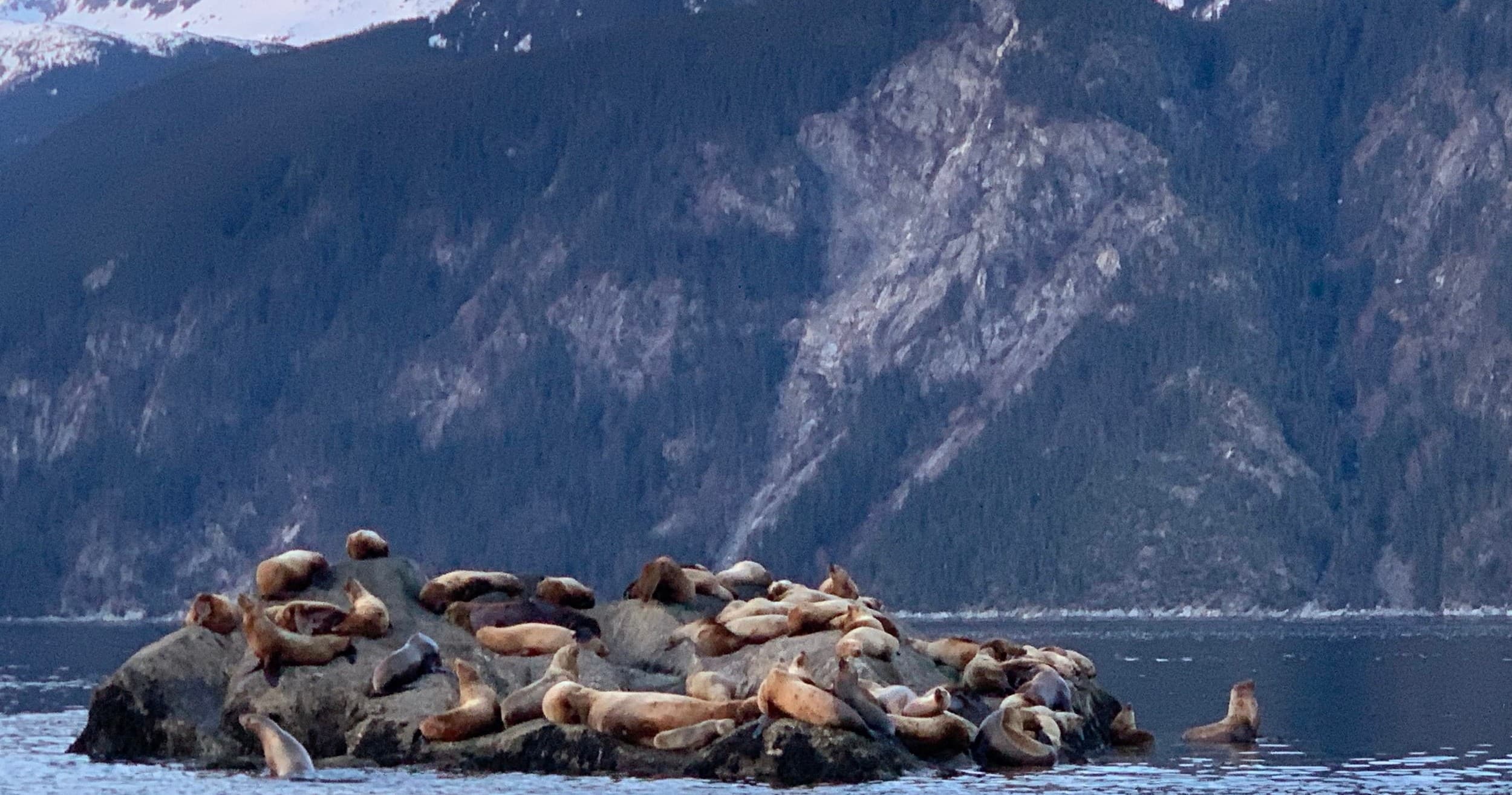 Waterfall & Wildlife Tour