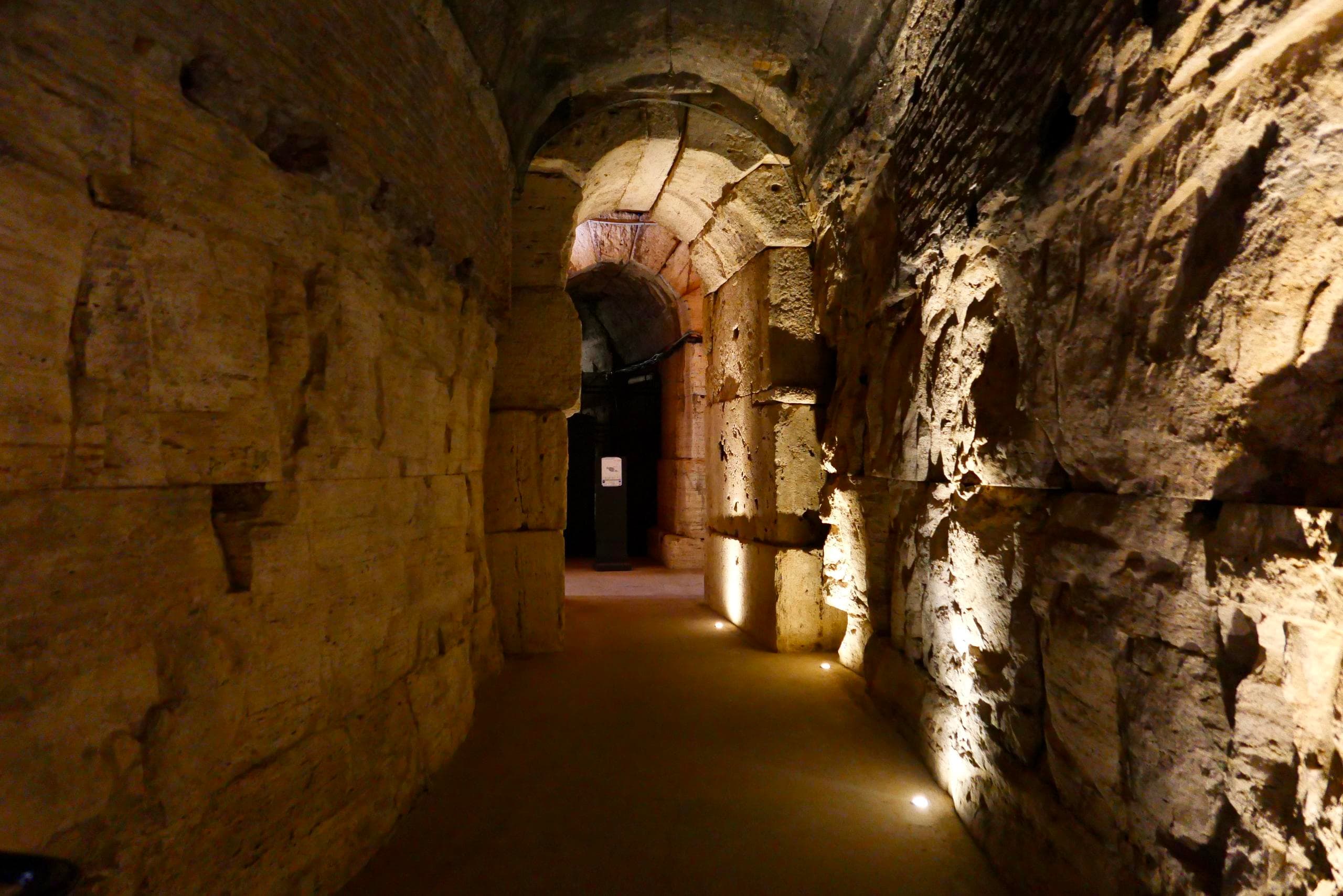Tour of Colosseum Underground, Arena, Roman Forum & Palatine Hill