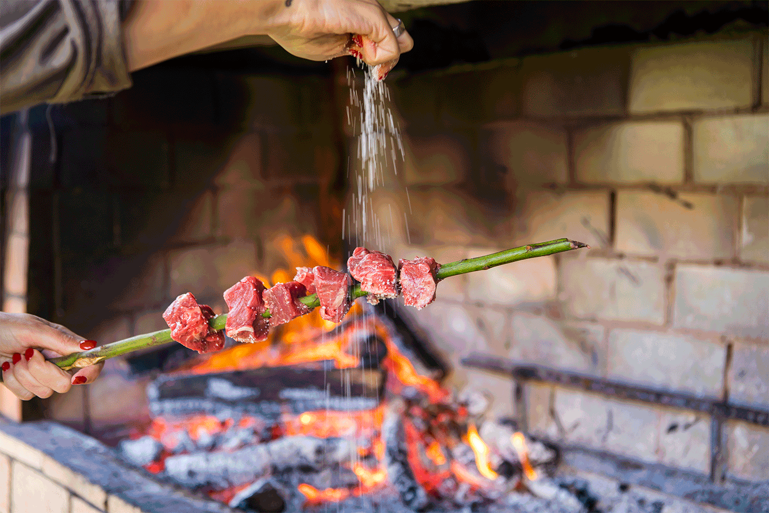 Farm-To-Table Farm Experience