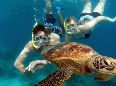 4 Hour Snorkeling