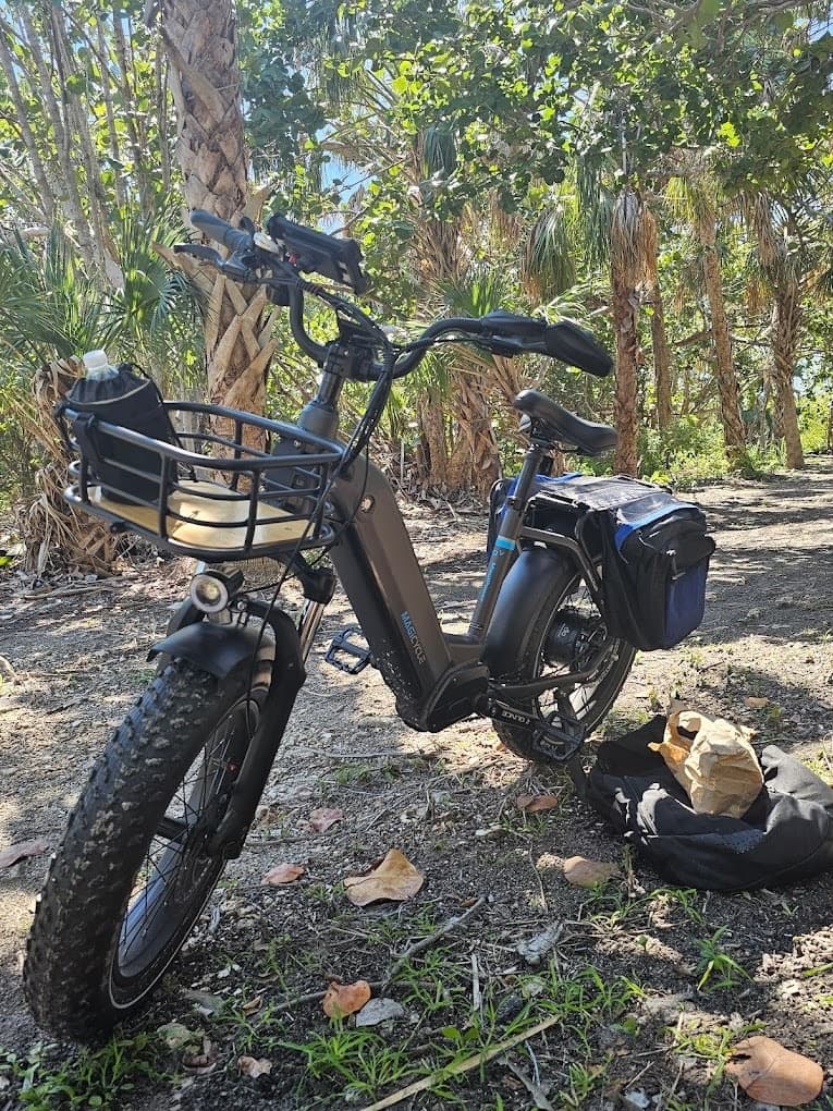 4 day E-Bike Rentals