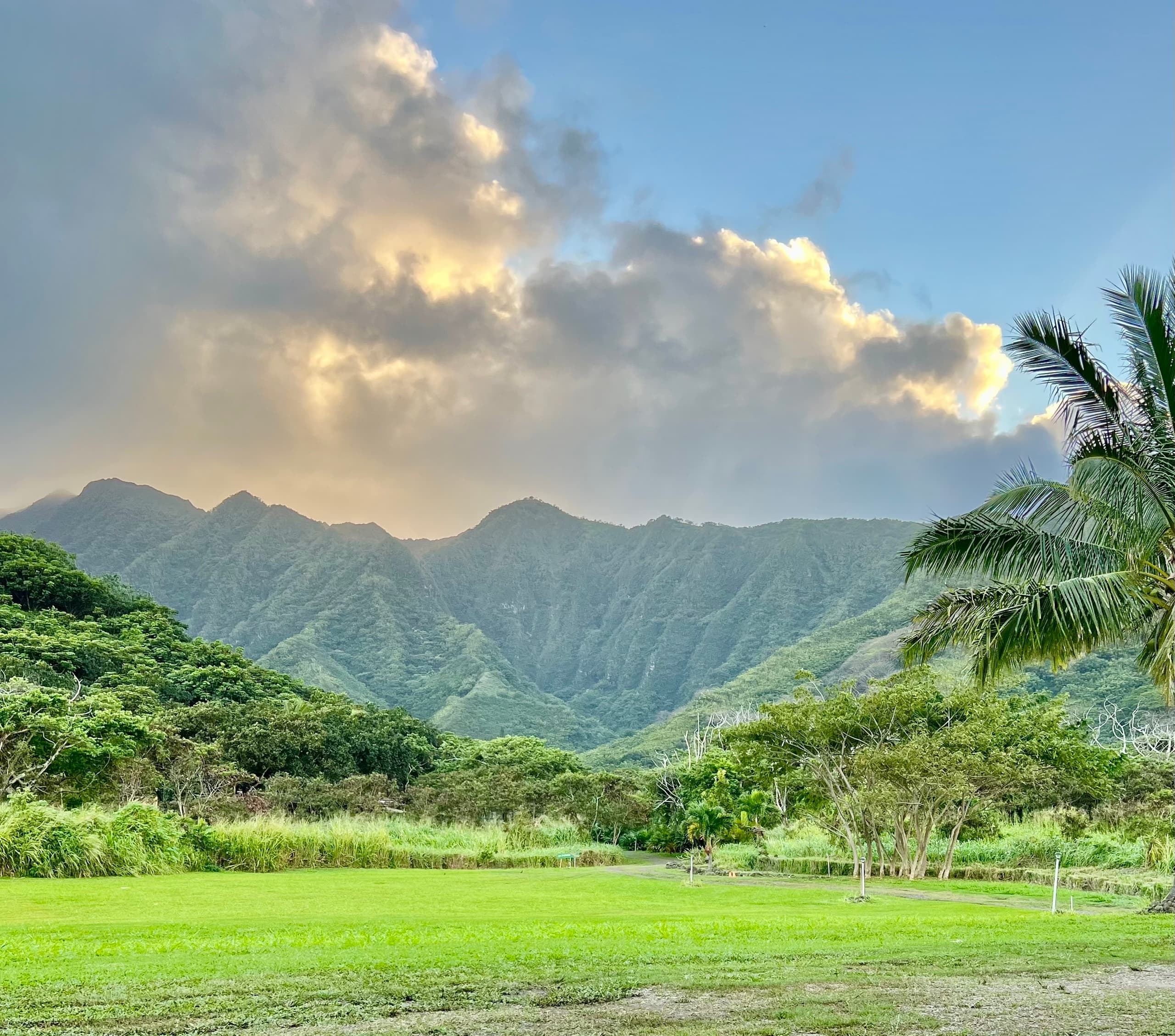 Kalo Pounding and Kava Experience