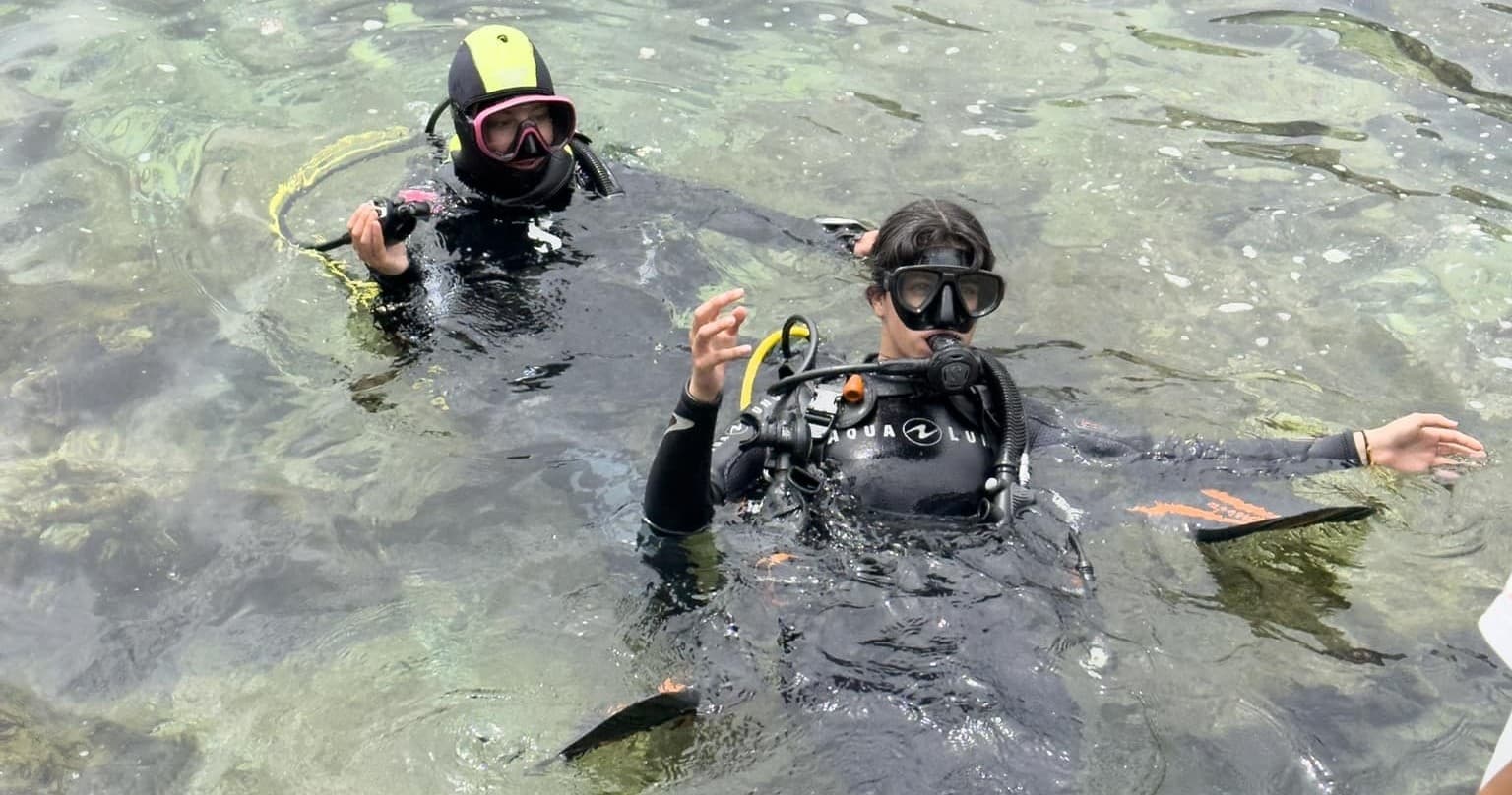 Introdive