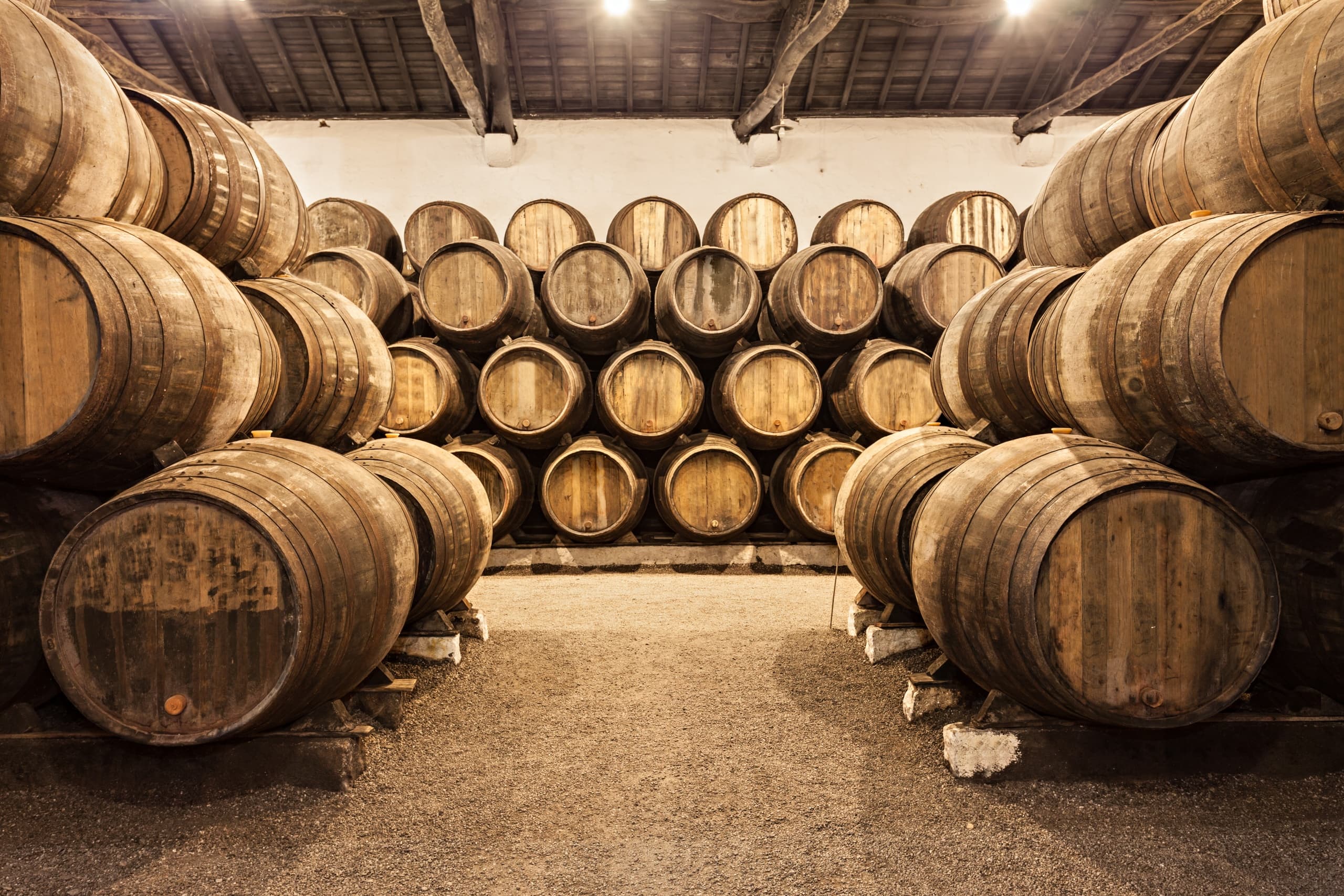 Gray Line 48h + Caves de Vinho