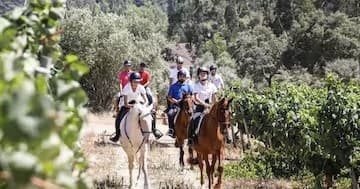 Horseback Riding in the Vineyard