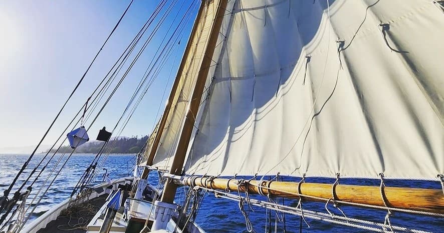 Two and a Half Hour Sail